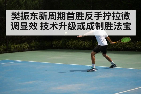 樊振东新周期首胜反手拧拉微调显效 技术升级或成制胜法宝