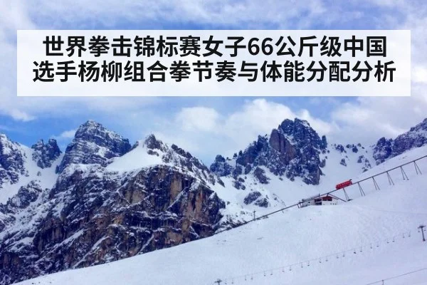 世界拳击锦标赛女子66公斤级中国选手杨柳组合拳节奏与体能分配分析